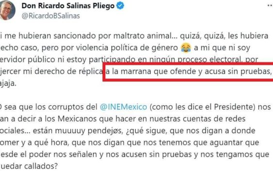 EL INE DETERMINA QUE RICARDO SALINAS EJERCIÓ VIOLENCIA POLÍTICA DE GÉNERO CONTRA CITLALLI HERNÁNDEZ.