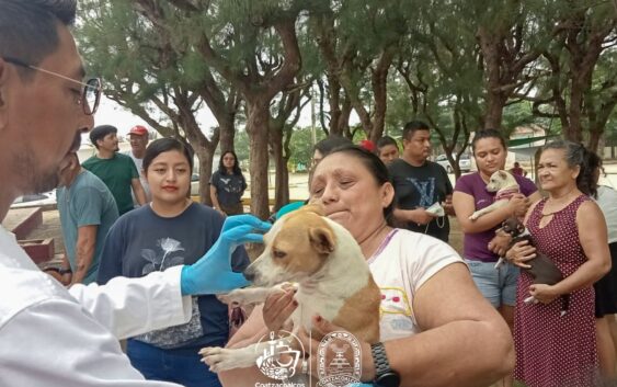 Continúan vacunando a más perros y gatos en Coatzacoalcos