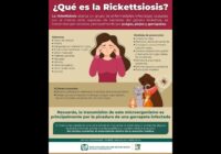 Advierte IMSS Veracruz Sur sobre enfermedad ocasionada por garrapatas y pulgas