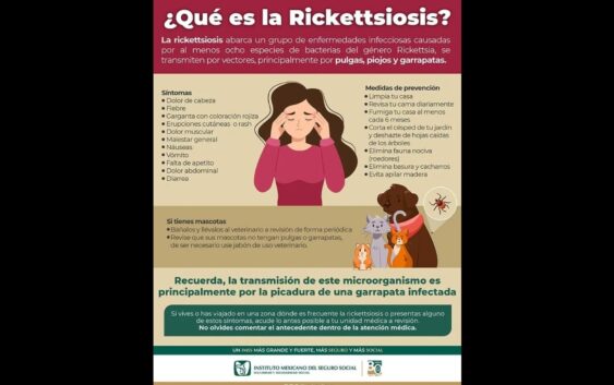 Advierte IMSS Veracruz Sur sobre enfermedad ocasionada por garrapatas y pulgas