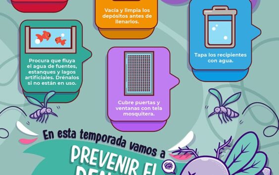 Pide IMSS Veracruz Sur no bajar la guardia ante dengue