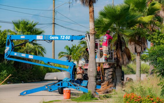 Mejoran imagen urbana del fraccionamiento Puerto Esmeralda