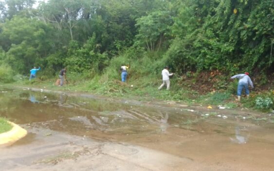 H. Ayuntamiento de Cosoleacaque intensifica limpieza y poda de árboles.