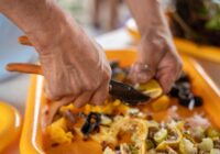 Imparten taller de compostaje, para impulsar prácticas sostenibles en Cosoleacaque