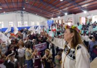 Soy coordinadora, no precandidata: Nalhe