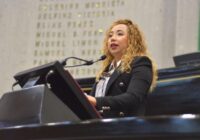 Proteger animales desde reglamentos municipales, pide Diputada