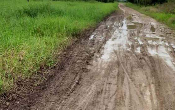 Incomunicados pobladores de la comunidad de Yanguigapan