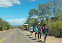 Ante indiferencia de las autoridades, cientos de migrantes avanzan a la ciudad de Oaxaca a pie