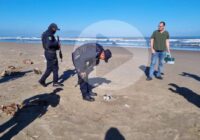 Encuentran presunta cocaína en la playa de Coatzacoalcos ￼