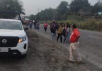 Aseguran en Veracruz 20 camiones que facilitó el gobierno para caravana migrante y acusan a los conductores de tráfico ilegal