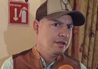 La producción de piña en Veracruz aumenta: David Gasperin Demenegui