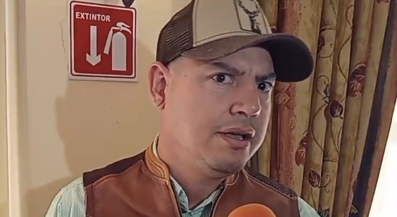 La producción de piña en Veracruz aumenta: David Gasperin Demenegui
