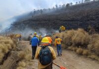 Solo un municipio del sur de Veracruz fue afectado con incendios forestales