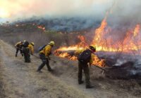 Actualización sobre ampliación de acciones de combate a incendios en Veracruz
