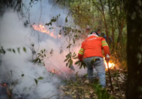 Influencer compromete recursos para contrarrestar los incendios en Orizaba