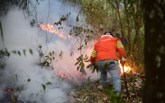 Influencer compromete recursos para contrarrestar los incendios en Orizaba