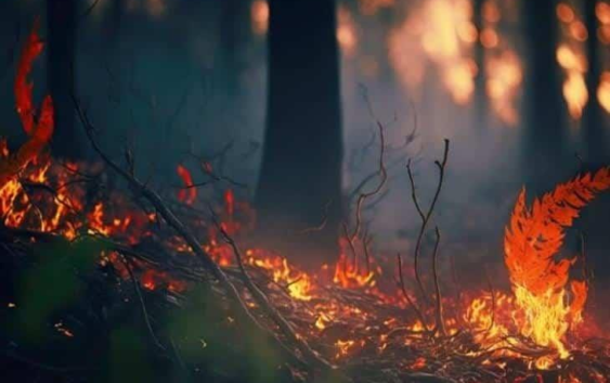 Desde mil 258 la multa por quema de vegetación, en Coatzacoalcos