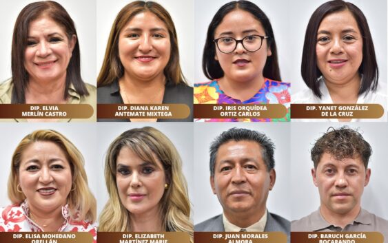 Asumen ocho personas el cargo de diputada o diputado a la LXVI Legislatura