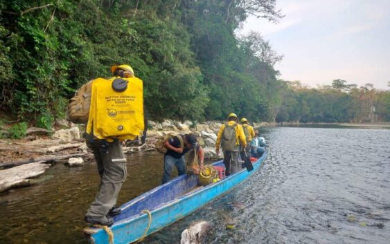 Combaten incendio forestal en Uxpanapa