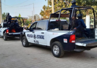 Hallan 5 fosas clandestinas con 8 cuerpos en límites de Oaxaca y Veracruz
