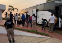 Localizan a 82 migrantes dentro de autobús turístico en el sur de Veracruz