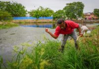 Realizan labores de limpieza en la laguna de La colonia Infonavit Paquital.