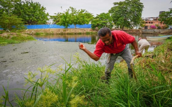 Realizan labores de limpieza en la laguna de La colonia Infonavit Paquital.