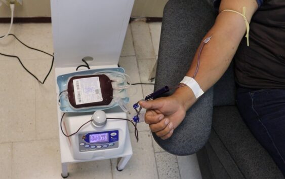 Aclara IMSS Veracruz Sur mitos sobre donación sangre