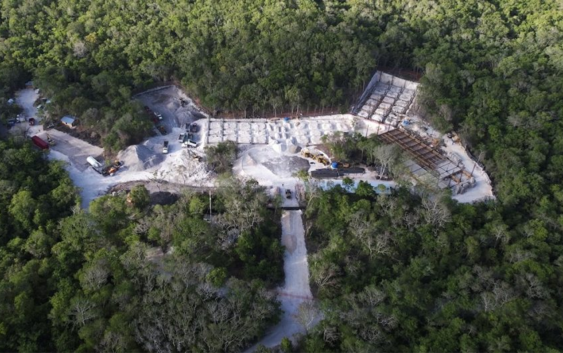 El Ejército no sólo destruyó cenotes, también arrasó con la selva de Calakmul