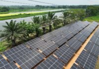 Inaugura Rocío Nahle primer parque fotovoltaico en el sur de Veracruz