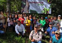 Ayuntamiento de Coatzacoalcos reforesta zona serrana