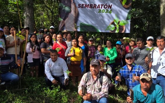 Ayuntamiento de Coatzacoalcos reforesta zona serrana