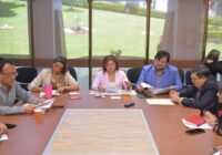 Avanza dictamen en materia de participación política de personas con discapacidad