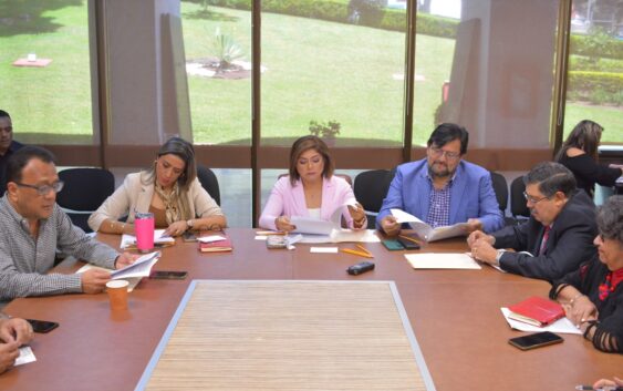 Avanza dictamen en materia de participación política de personas con discapacidad