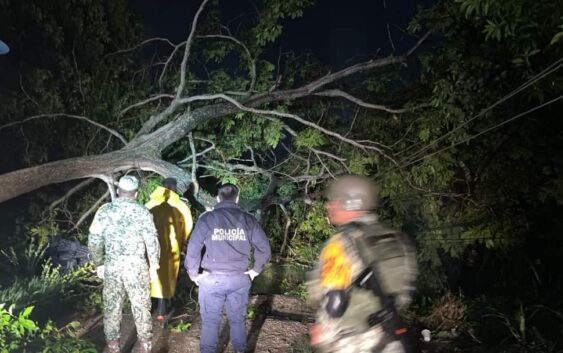 Tormenta deja afectaciones en el sur de Veracruz