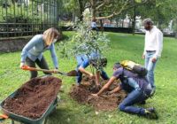 Autoridades ignoran a alumnos de UV con plan de reforestación para la zona montañosa