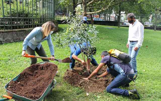 Autoridades ignoran a alumnos de UV con plan de reforestación para la zona montañosa