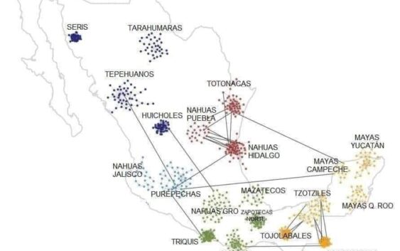 Los zapotecas no tienen parentesco genético con ningún otro grupo un indígena