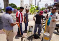 El gobierno de Cosoleacaque refuerza programa de reforestación en el municipio.