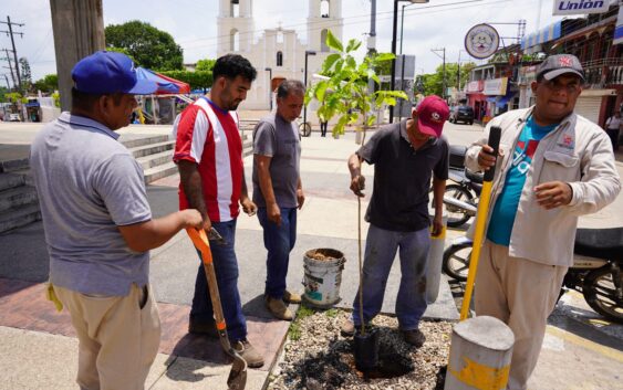 El gobierno de Cosoleacaque refuerza programa de reforestación en el municipio.