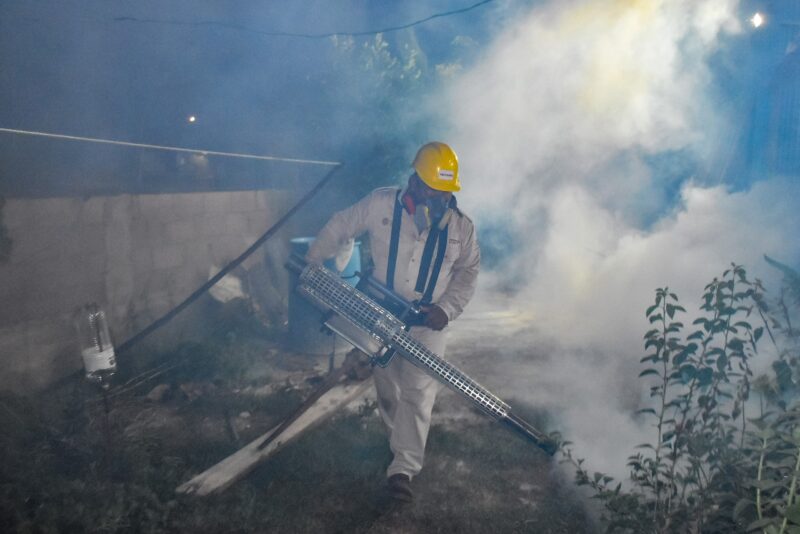 Fumigan colonia Fidel Herrera Beltrán para prevenir el Dengue