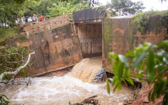 Evalúan afectaciones causadas por la tormenta tropical en Acayucan