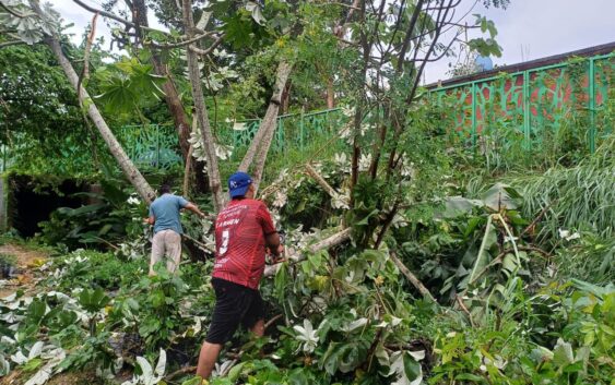 Protección Civil Cosoleacaque atiende reportes de zona urbana y rural.