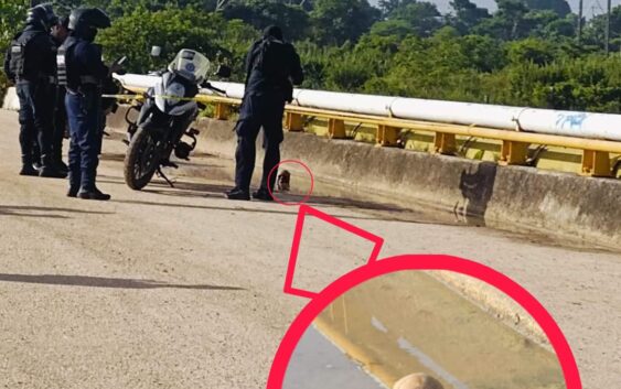 Abandonan craneo en un puente de la autopista Nuevo Teapa – Cosoleacaque