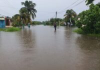 Emiten declaratoria de desastre natural para 44 municipios de Veracruz por lluvias de tormenta Nadine, entre ellos Coatzacoalcos