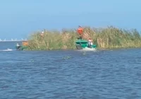 Una “Isla” apareció a la mitad del Río Coatzacoalcos. Un desprendimiento de tierra y zacate, ocasionado por las lluvias, arrastró al islote hasta el Puerto de Coatzacoalcos