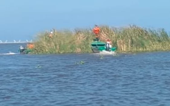 Una “Isla” apareció a la mitad del Río Coatzacoalcos. Un desprendimiento de tierra y zacate, ocasionado por las lluvias, arrastró al islote hasta el Puerto de Coatzacoalcos