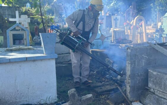 Fumigaron panteones de Coatzacoalcos para evitar aparición del mosco del dengue, zika y chikungunya