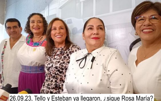 ¿Toca el turno ahora a Rosa María Hernández Espejo?
