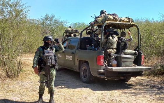 Duro golpe al crimen organizado en la zona norte de la entidad